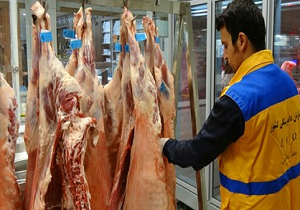 فعالیت ۲۵ اکیپ دامپزشکی در ایام تاسوعا و عاشورای حسینی