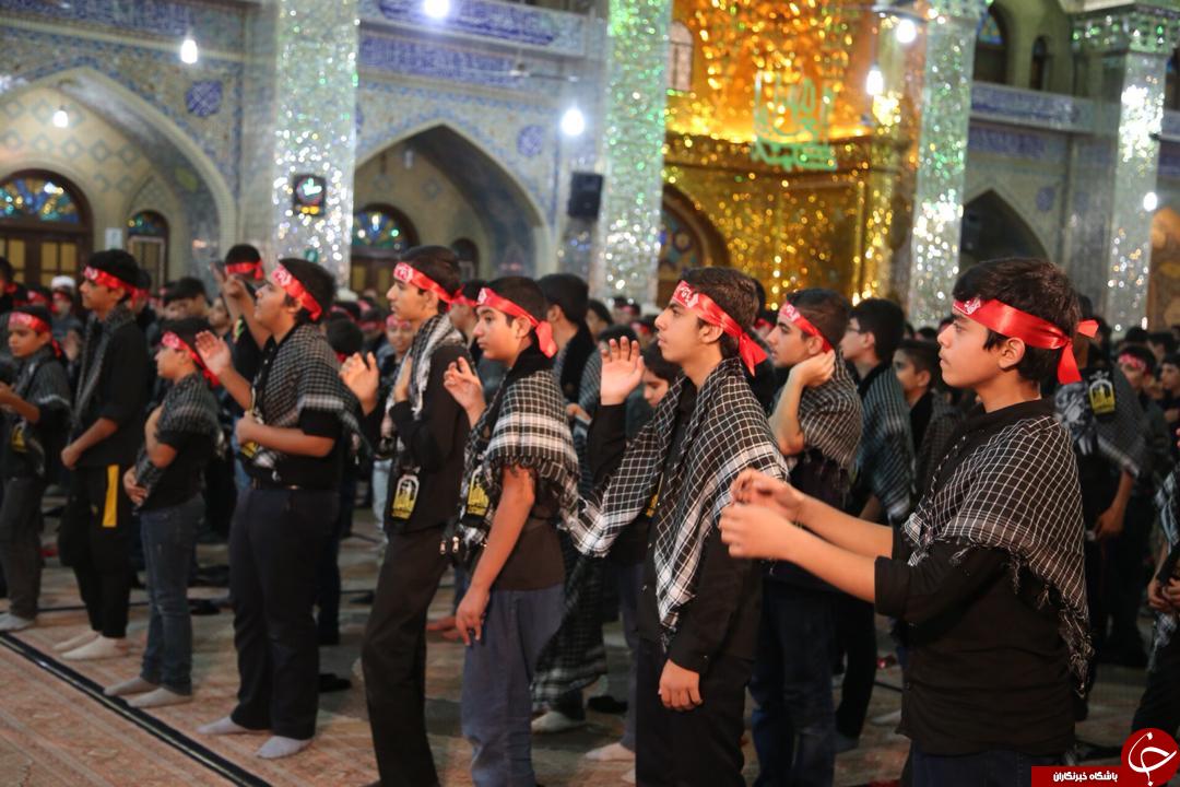 همایش احلی منالعسل در استان فارس همایش احلی منالعسل در استان فارس