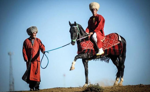 خراسان شمالی اصلی&zwnj;ترین ذخیرگاه ژنتیک اسب اصیل ترکمن در ایران و جهان