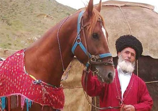 خراسان شمالی اصلی&zwnj;ترین ذخیرگاه ژنتیک اسب اصیل ترکمن در ایران و جهان