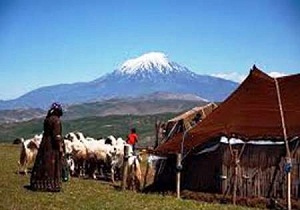 نهصدو۵۰ خانوار عشایر سمنان در صندوق بیمه اجتماعی عضویت دارند