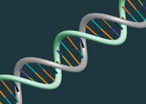 DNA میکروسکوپی، روشی جدید در مطالعه مولکول&zwnj;های زیستی