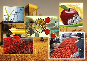تسهیلات ۱۵ درصدی برای متقاضیان احداث صنایع فرآوری