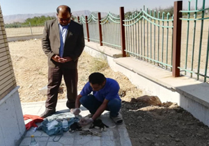 اقدام جالب یک دامپزشک در بروجن