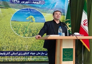 پیش بینی کشت ۳۲ هزار هکتار دانه روغنی کلزا در آذربایجان غربی پیش بینی کشت ۳۲ هزار هکتار دانه روغنی کلزا در آذربایجان غربی