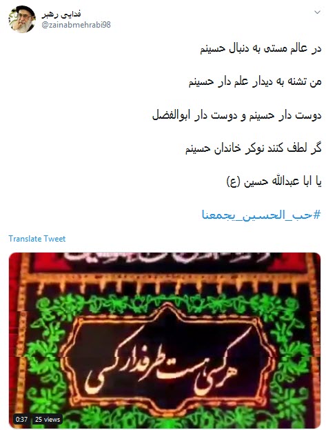 #قمر_بنی_هاشم / یا مرتضی علی قمری داشتی، چه شد؟!  +تصاویر