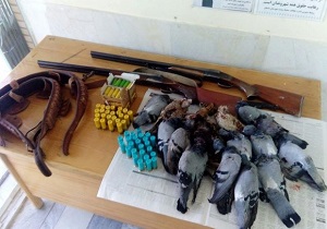 شکارچی که در چنگ قانون افتاد