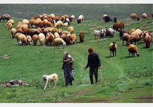 پرداخت بیش از ۳۵ میلیارد ریال تسهیلات اشتغالزایی به عشایر اندیکا