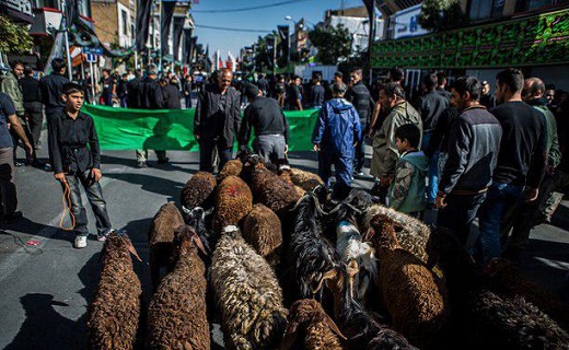 بیماریهای مرگباری که با ذبح خیابانی دام به جانتان میافتد/ هشدار؛ خطر شیوع تب کنگو و سیاه زخم در بین عزاداری حسینی/ آمار تب خونریزی دهنده کنگو به ۱۰۴ نفر رسید بیماریهای مرگباری که با ذبح خیابانی دام به جانتان میافتد/ هشدار؛ خطر شیوع تب کنگو و سیاه زخم در بین عزاداری حسینی/ آمار تب خونریزی دهنده کنگو به ۱۰۴ نفر رسید