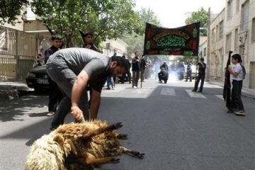 بیماریهای مرگباری که با ذبح خیابانی دام به جانتان میافتد/ هشدار؛ خطر شیوع تب کنگو و سیاه زخم در بین عزاداری حسینی/ آمار تب خونریزی دهنده کنگو به ۱۰۴ نفر رسید بیماریهای مرگباری که با ذبح خیابانی دام به جانتان میافتد/ هشدار؛ خطر شیوع تب کنگو و سیاه زخم در بین عزاداری حسینی/ آمار تب خونریزی دهنده کنگو به ۱۰۴ نفر رسید