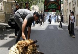 نظارت شرعی ۱۰ اکیپ بر دام‌های قربانی