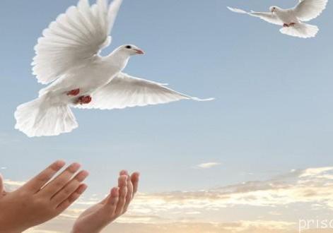 آزادی ۱۷ زندانی جرایم غیرعمد و محکوم مالی در آذربایجان شرقی