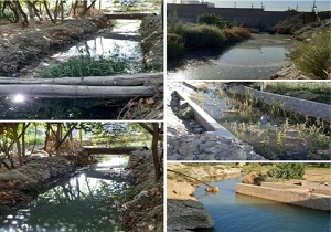 جاری شدن آب در مادی شایج پس از حدود ۲۰ سال
