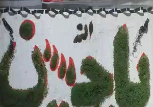 سبز کردن سبزه یاحسین(ع) در روستای تکه + فیلم