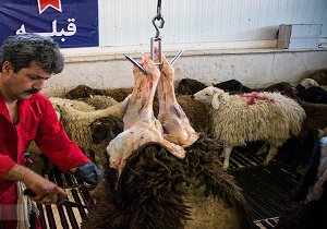 ذبح دام قربانی در شوشتر تحت نظارت دامپزشکان