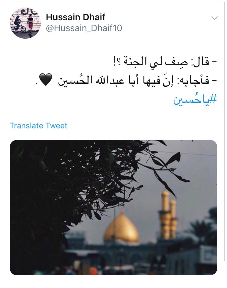 #یاحُسین/ یا لیتنا کُنا مَعکُم +تصاویر