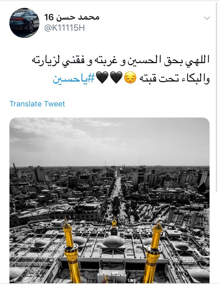 #یاحُسین/ یا لیتنا کُنا مَعکُم +تصاویر