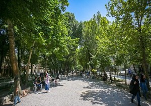 شهروندان باید برای زیبایی چهارباغ اصفهان بیشتر مراقبت کنند