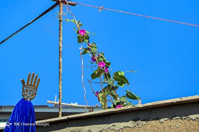 هیئتِ ما/ آئین علم‌گردانی در روستای درسجین