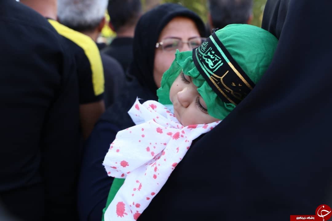 ندای یا حسین (ع) در فارس طنین انداز شد/فارس در عزای سید و سالار شهیدان به سوگ نشست + تصاویر