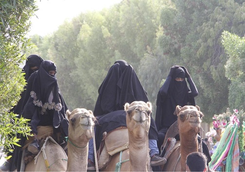 انعکاس شور و شعور حسینی هرمزگانی ها در عزاداری عاشورا+تصویر
