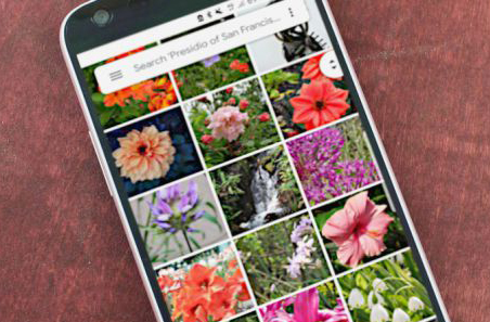 جستجوی متن، قابلیت جدید نرم&zwnj;افزار Google Photos