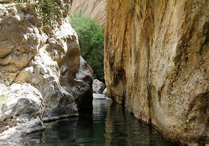 دره بکر و دست نخورده «نی گاه» در دورود + فیلم