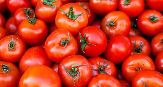 خرید حمایتی گوجه فرنگی در خراسان رضوی آغاز شد