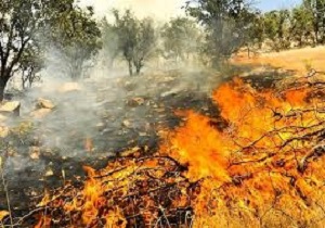 آتش سوزی بخشی از مراتع کلیبر