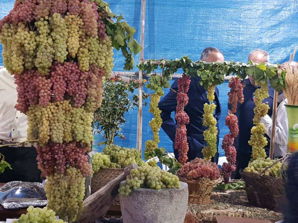 آباده میزبان جشنواره سنتی انگور