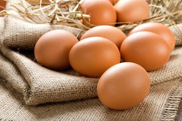 آغاز مجدد خرید توافقی تخم مرغ/ تولید تخم مرغ به یک میلیون و ۱۰۰ هزار تن می&zwnj;رسد