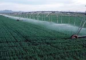 اجرای سیستم های نوین آبیاری برای ۱۴ روستا در طبس