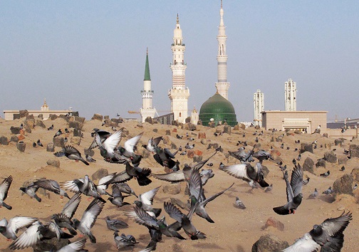 امام سجاد(ع)، کوهی استوار و منشاء ایمان و پرچم دار کلمه لا اله الا الله