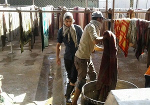 رایزنی برای اعزام دومین گروه جهادی به کربلا