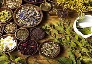 طب سنتی مکمل طب رایج امروز/ دخالت طب سنتی بر درمان بیماران به تنهایی نادرست است