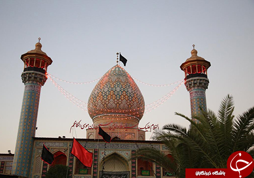طنین لبیک یا زینب (س) در حرم مطهر سید علاءالدین حسین (ع)