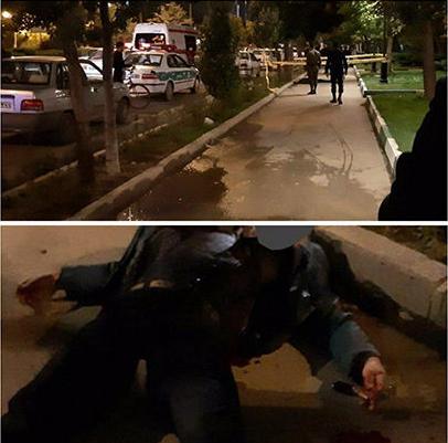 قتل هولناک مرد اردبیلی در مقابل دانشگاه (+۱۶)