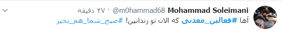 فعالین معدنی