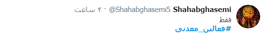 فعالین معدنی