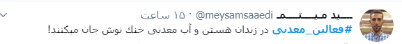 فعالین معدنی