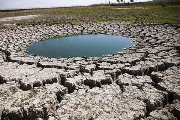 سطح ایستابی آبخوان‌های بوشهر ۱۰۰ درصد کاهش یافت