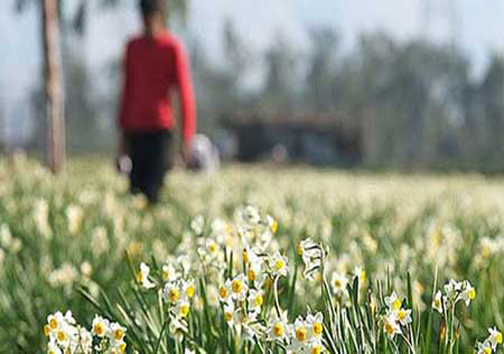 دیدنی های استان خوزستان در یک نگاه