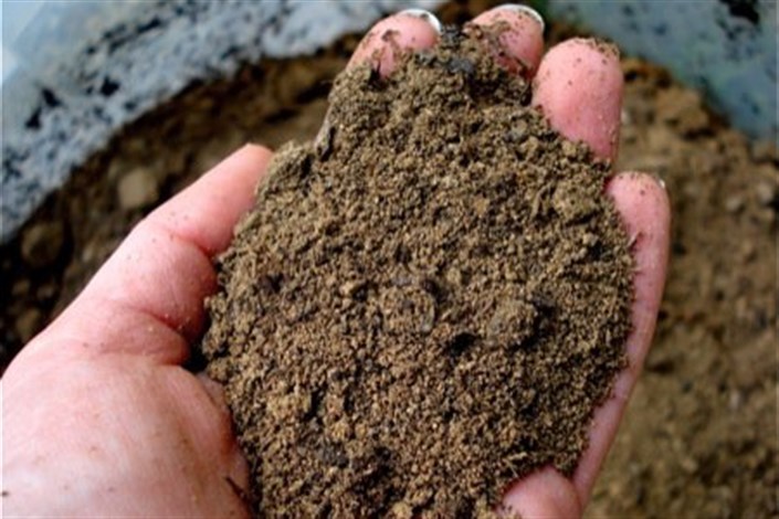 خطرات خاک آلوده را جدی بگیریم