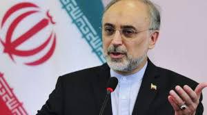 صالحی راهی وین شد