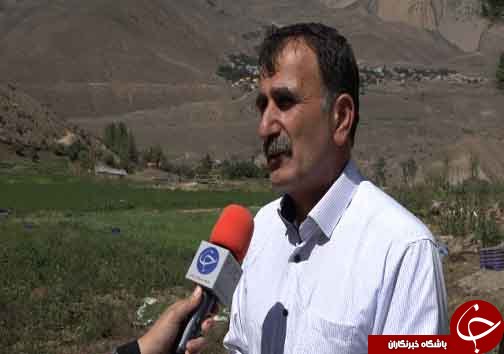 کشت سبزینه&zwnj;های تازه در دامان البرز+فیلم