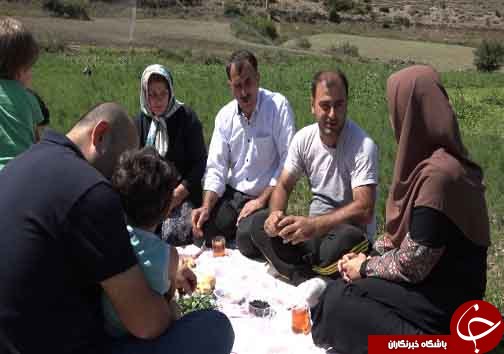 کشت سبزینه&zwnj;های تازه در دامان البرز+فیلم