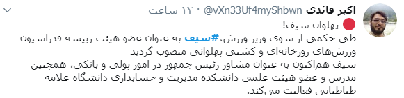 پهلوون ولی