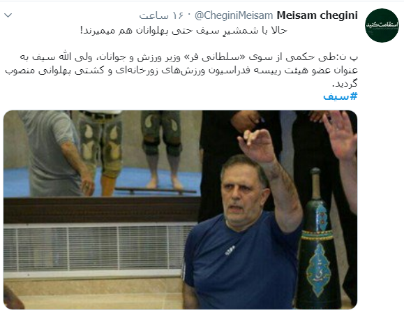 پهلوون ولی
