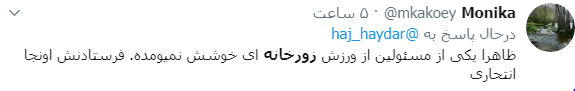 پهلوون ولی