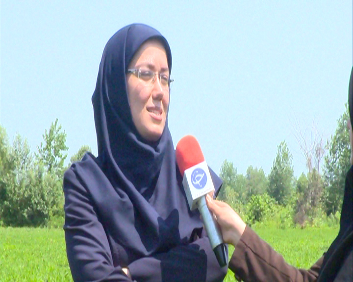 دانه&zwnj;ای که پس از ۳ ماه انتظار در دل زمین به بار می&zwnj;نشیند